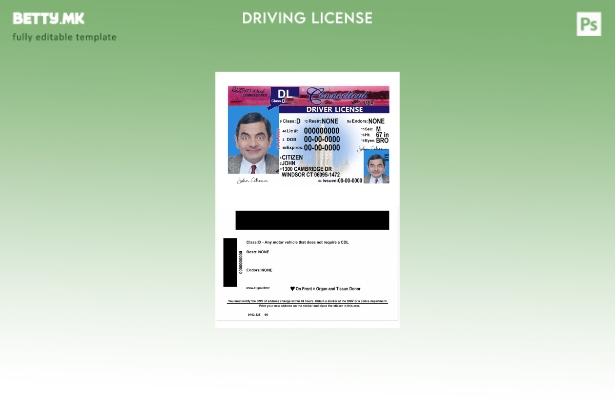 Шаблон за верзија на возачка дозвола во САД Конектикат во модерен стил